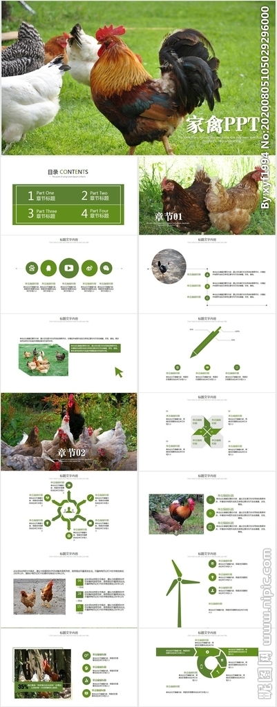 绿色生态农家鸡舍家禽养殖 构建可持续发展的健康养殖新模式