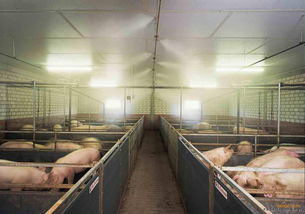 谷瀑农机网 农业机械的智选平台，助力现代农业生产全链条