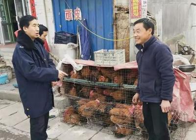 甘肃省礼县市场监管局迅速落实家禽养殖疫情防控措施