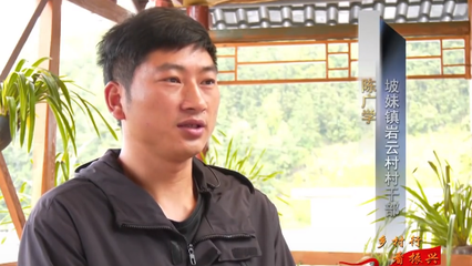 全国文明村镇岩云村 文明新风吹入寻常百姓家，家禽养殖焕发新貌