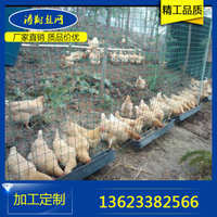 河北涛翔金属丝网制造在现代化家禽养殖中的应用与优势